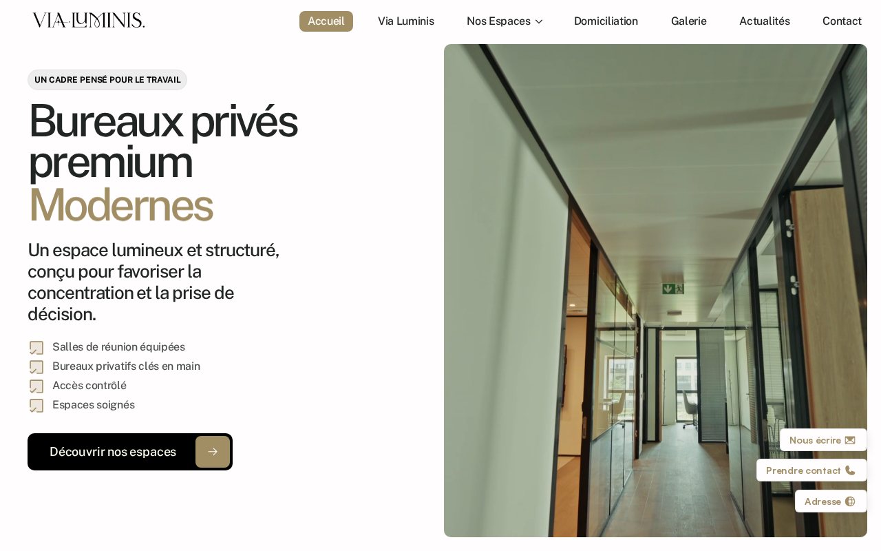 Aperçu du site livré pour Via Luminis